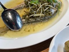 -宁波柏悦酒店·钱湖渔港