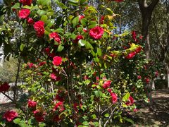 -江南大学(蠡湖校区)