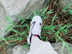 -绿堤公园