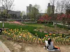 -江南大学(蠡湖校区)