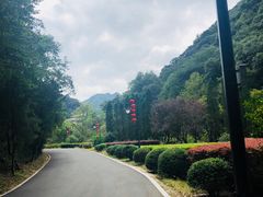 -宁海森林温泉