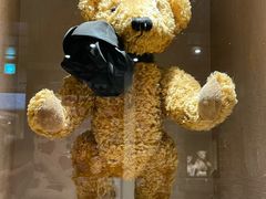 -济州岛泰迪熊博物馆