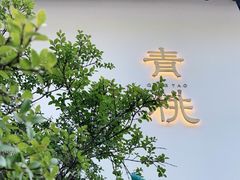 -青桃餐厅