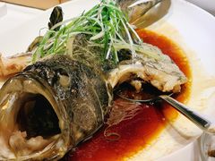-鱼乐轩(珠江路店)
