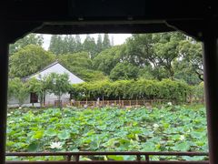 -上海醉白池公园