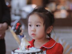 -咖咖熊蛋糕定制·蓝风车动物奶油