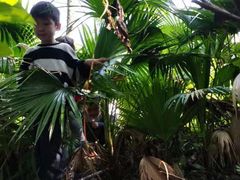 -宾果蒙特梭利托育儿童之家幼儿园(爱琴海店)