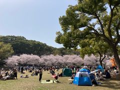-苏州上方山国家森林公园