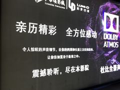-卢米埃影城(住总万科杜比全景声激光店)