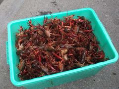 -老谭虾王蟹皇·龙虾·烧烤(蝴蝶湾店)