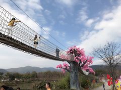 -天适樱花悠乐园