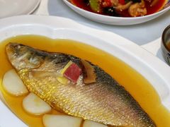 -悦泰环球美食自助(金茂旗舰店)
