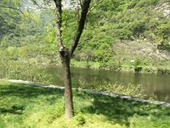 -少华山国家森林公园