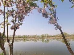 -大兴滨河森林公园