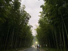 -天目湖御水温泉·度假酒店