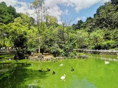 景点-黔灵山公园