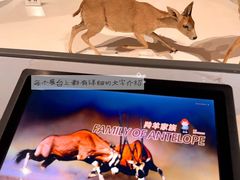 -陕西自然博物馆