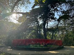 -北陵公园