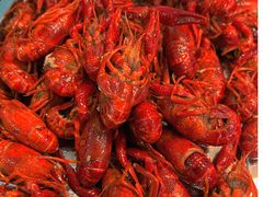 -百签宫串串香重庆火锅(夏湾店)