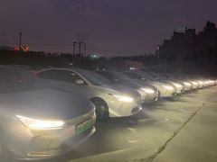-枫花园汽车电影院(朝阳公园店)