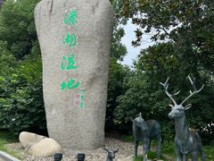 -溱湖国家湿地公园