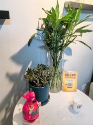 -JX今喜美甲美睫