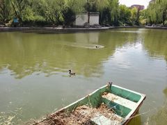 -团结湖公园