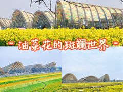 -中国天府农业博览园