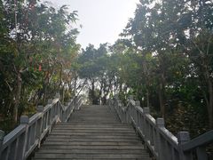 -大沙河公园