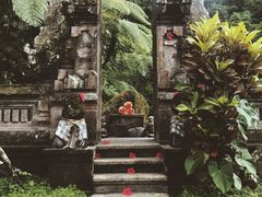 -南山植物园
