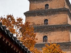 -大慈恩寺(大雁塔)