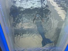 -重庆解放碑威斯汀酒店
