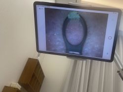 -凡碧诗毛孔清洁收细