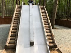 -黄海国家森林公园