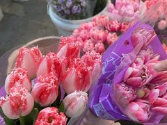 -双季花艺园艺市场(浦东店)