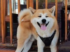 -丹世红酒庄·烧烤·团建·婚礼·水上运动