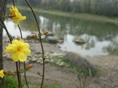 -新江湾城公园