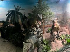 -国家自然博物馆