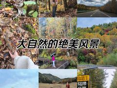 -汤旺河林海奇石景区