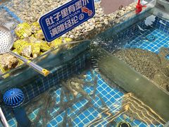 景观位-双合园·海鲜水饺青岛菜(万佳广场店)