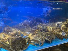 -苏格里岛自助海鲜烧烤火锅(南门口店)