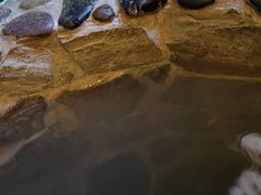 -云涛森林温泉