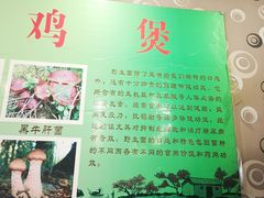 -杨记山珍鸡煲菌汤锅