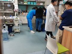 -奈斯宠物医院·核磁CT·异宠专科·内镜(中南店)