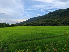 -风云岭森林公园