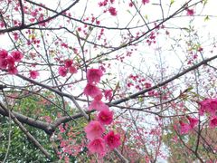 -雀儿山公园
