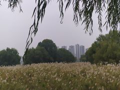 -汉江湾体育公园