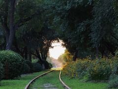 -永定河休闲森林公园