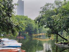 -晓港公园