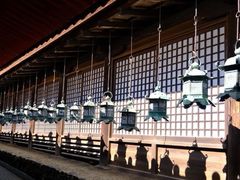 -奈良公园